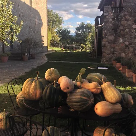Azienda Agricola Il Querceto-3